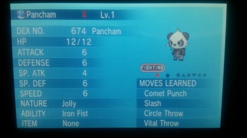 Shiny Pancham - Hatched on 4/11/2015 in less than 60 eggs - IT'S SO ADORABLE X3