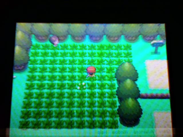 Shiny Patch