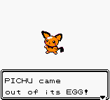 SHINY PICHU came out of its EGG!