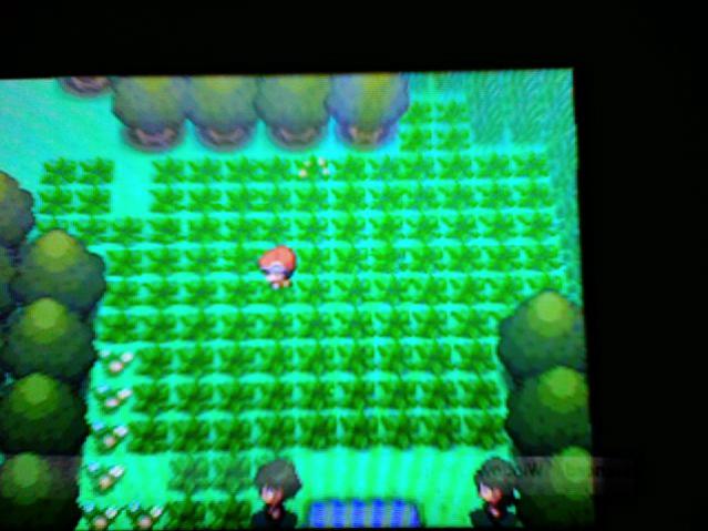 Shiny WEEPINBELL Patch