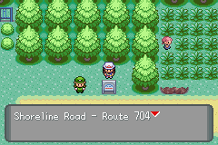 Shoreline Road