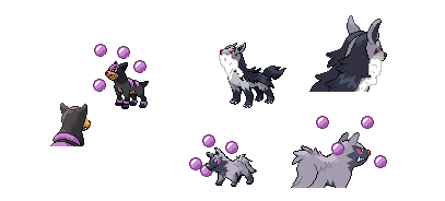 Sik (Poochyena), Dizeezd (Houndour), Crasie (Mightyena)
