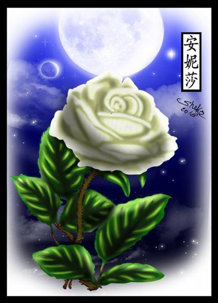 Sir Shakr Arts Rose   Coloured 2018