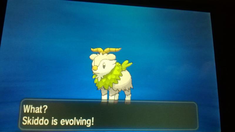 Skiddo! (Pokeradar) - female