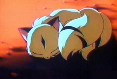 Sleeping Kirara