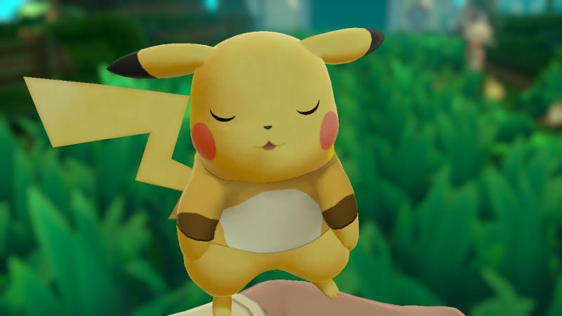 Sleepy chu.