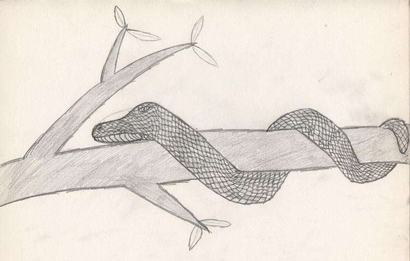 Snakey that's also messed up =(