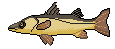 Snoosail