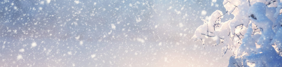Snow Banner