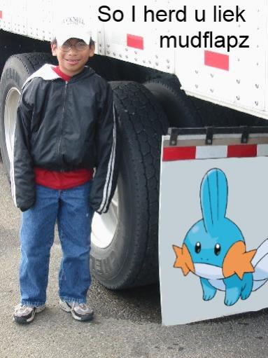 so i heard u liek mudflapz