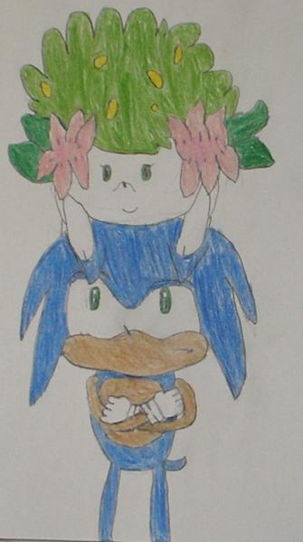 Sonic and Shaymin!  LOL
