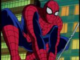 Spiderman
(TV show on Jetix)
