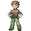 SpriteBrock