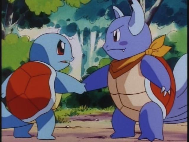 Squirtle and Wartortle from 'Pokemon Water War'