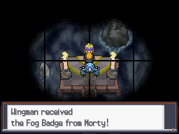 SS Fog Badge