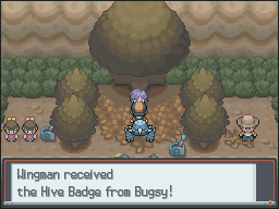 SS Hive Badge