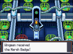 SS Marsh Badge