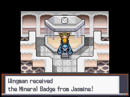 SS Mineral Badge