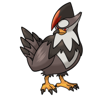 Staraptor