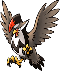 staraptor