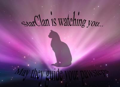 Starclan Is Watching You.... May they guide you pawsteps...