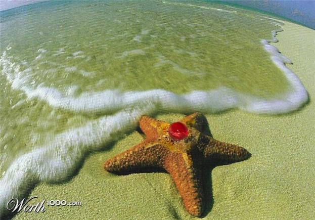 staryu