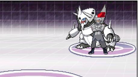 steel trainer