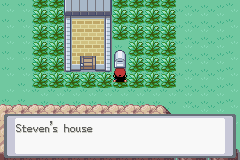 Steven's House