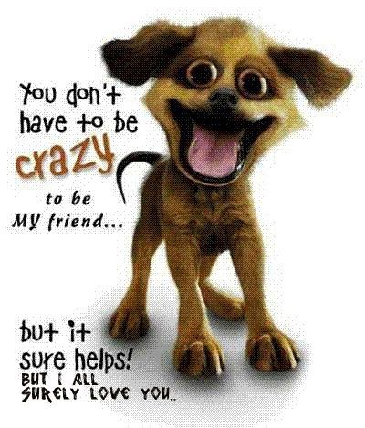Such a cute puppy. oh no. It's not cute. It's ebil~ D;
