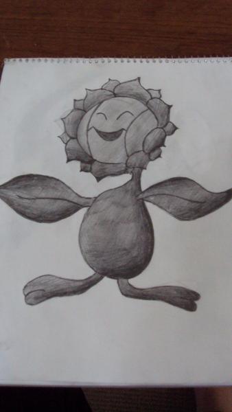 Sunflora