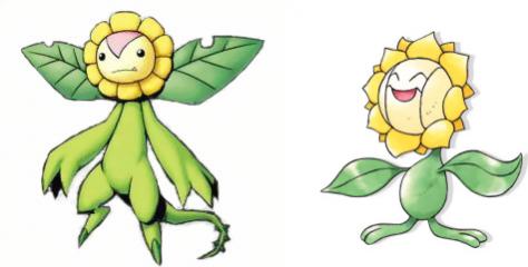 Sunflowmon & Sunflora