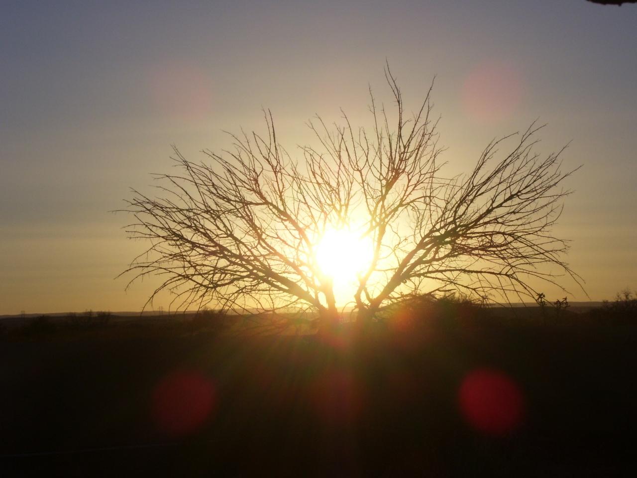 Sunset in the desert