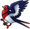 swellow