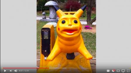 Taken from a cursed image video, that is best pika. Cursed Image 8.
