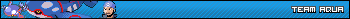 Team Aqua Banner