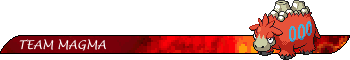 Team Magma Banner: Camerupt