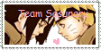 team Sasunaru