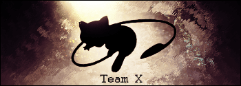 team x copy