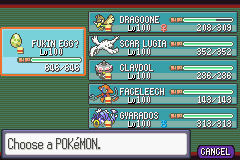 Team