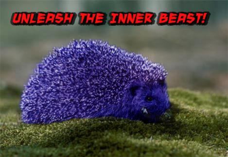 that's my pet hedgehog