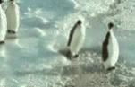 The bad penguim(by Dark_Aero)