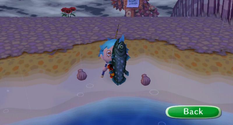 The elusive coelacanth. When you see this thing in the ocean, and you chuck your lure at it, it'll keep on attacking until your bobber goes down and y