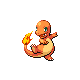 The Fire Starter pokemon form the first season