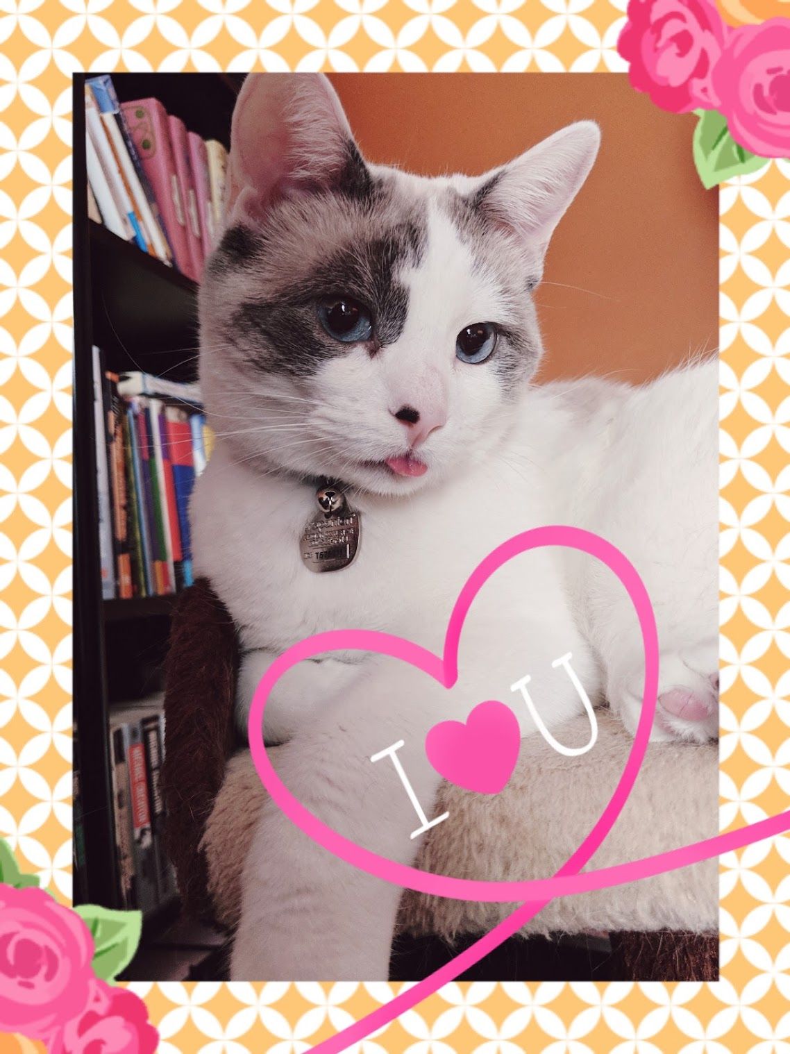 the most beautiful blep in the whole damn world