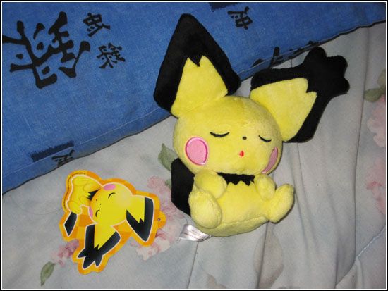 The Nemuri Gizamimi Pichu doll! :D (I probably have the name a bit wrong. oh well. XD) It's sooo cute. ;~; It's the size of a regular Pokédoll except 
