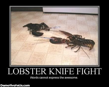The only thing Chuck Norris is afraid of...