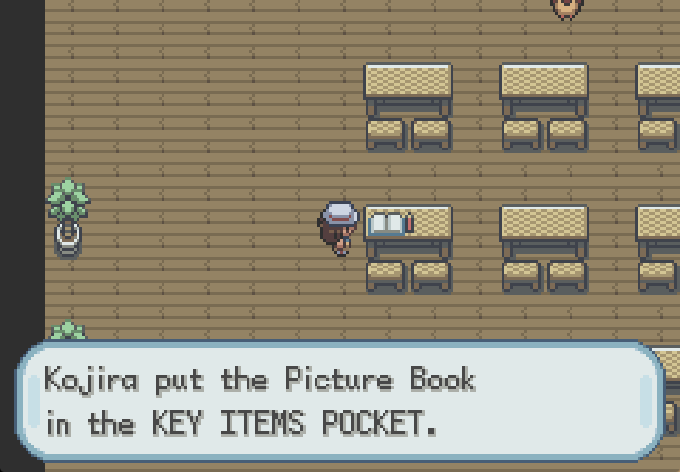 The Picture Book is an item that is used during a side quest. It is a key item. There's only one other key item used in a quest, and that's the Packag