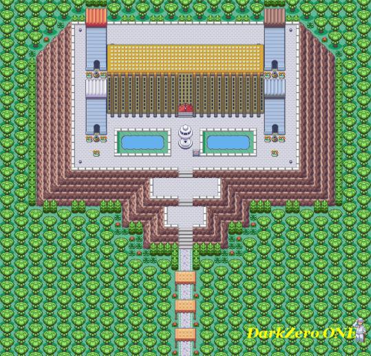 The Pokemon Castle