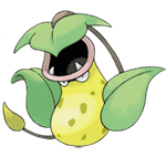 The Pokemon Fly Catcher