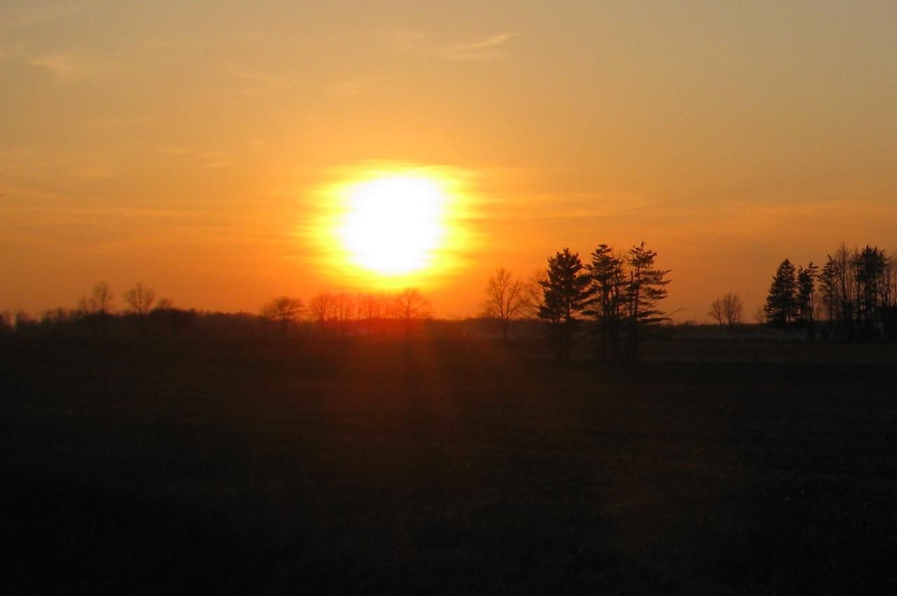 The Sun